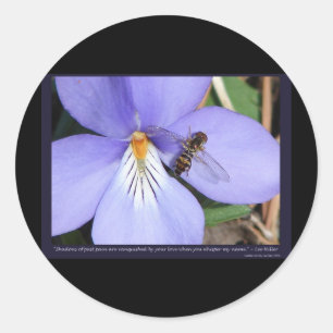 Adesivo Natureza do Violeta de Pata de Pássaros Amorosos