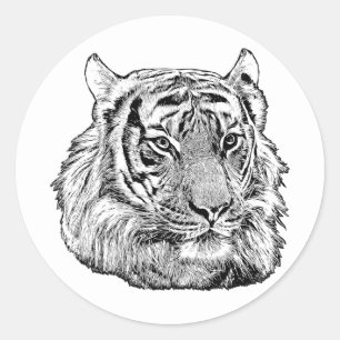 Adesivo Natureza original de um animal da raça Tigre