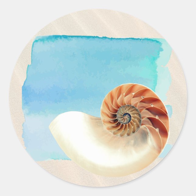 Adesivo Nautilus Seashell e Sand (Frente)