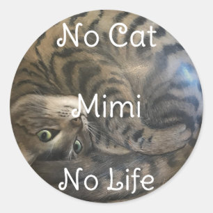 Adesivo Nenhum Gato Nenhuma Vida