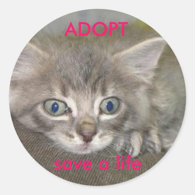 Adesivo nermil, salve uma vida, ADOPT (Frente)