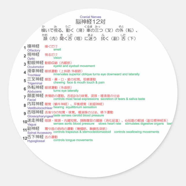 Adesivo Nervos cranianos japoneses 12 (Frente)