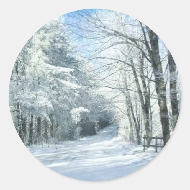 Adesivo Neve (Frente)