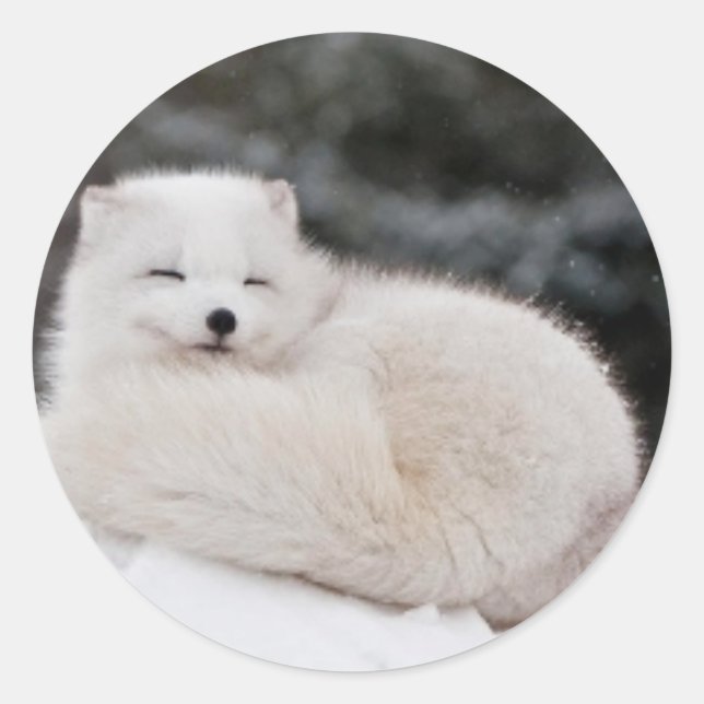 Adesivo neve inverno inverno gelo congelado neve gelo Árti (Frente)