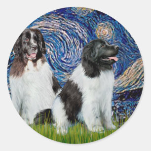 Adesivo Newfie Landseer Pair - Noite Estrelada
