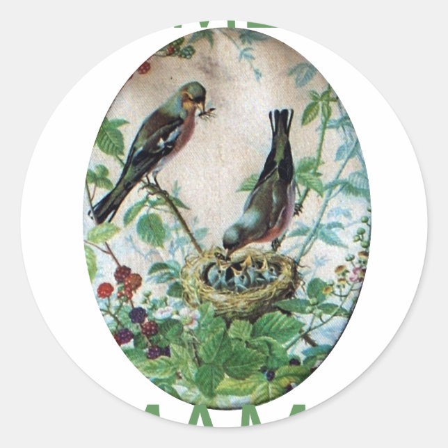 Adesivo Ninho da Alegria: Amor Jovem Espirituoso da Famíli (Frente)