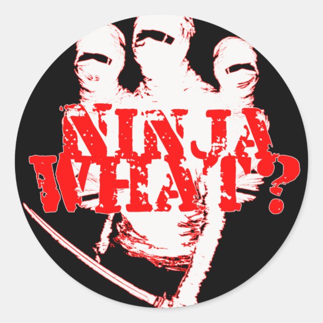 ADESIVO NINJA O QUÊ? (Frente)