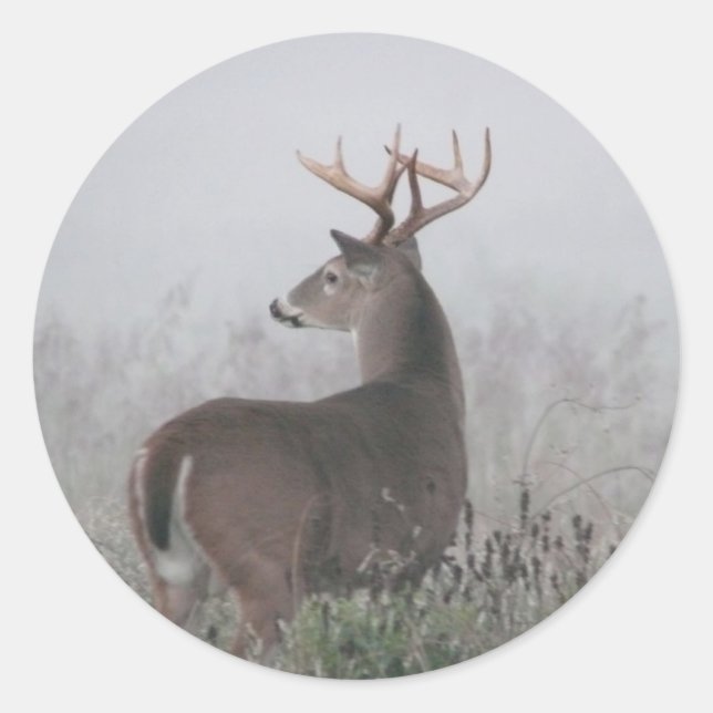 Adesivo nódoa (Frente)