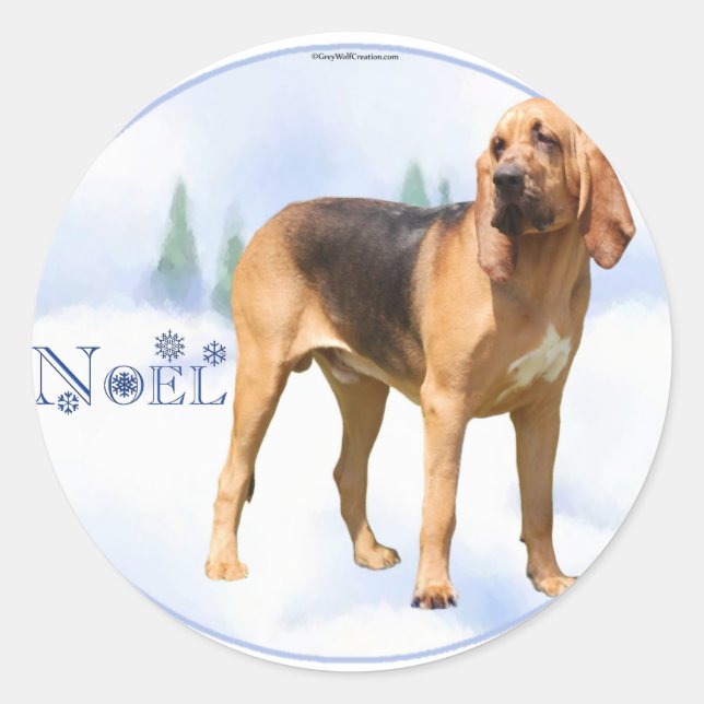 Adesivo Noel Bloodhound (Frente)