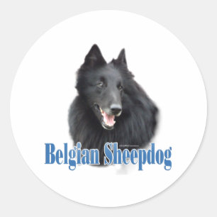 Adesivo Nome do Sheepdog belga - Vinheta