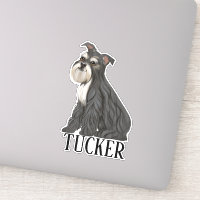 Nome personalizado de Minimóvel Schnauzer