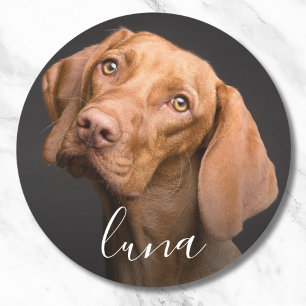 Adesivo Nome Personalizado de Pet de Fotografia