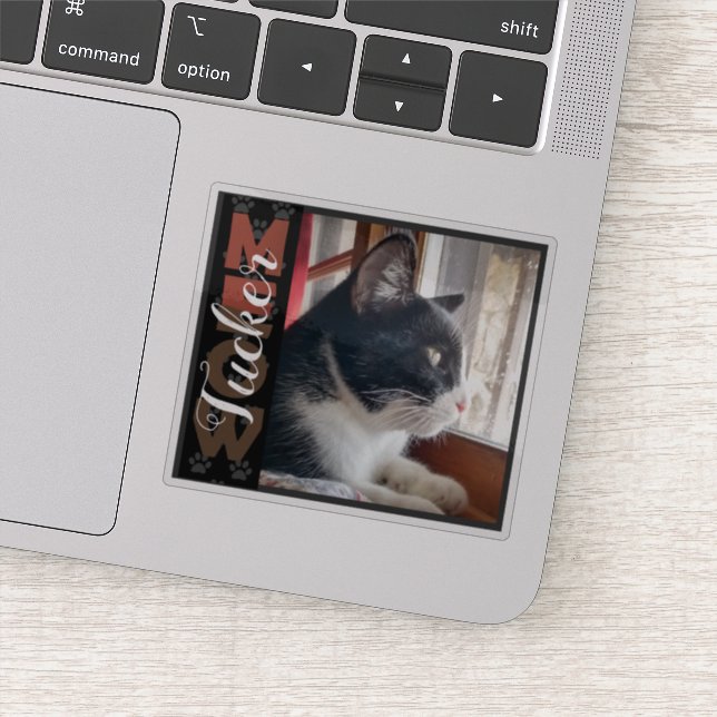 Adesivo Nome personalizado e foto de Pet Cat (Detalhe)