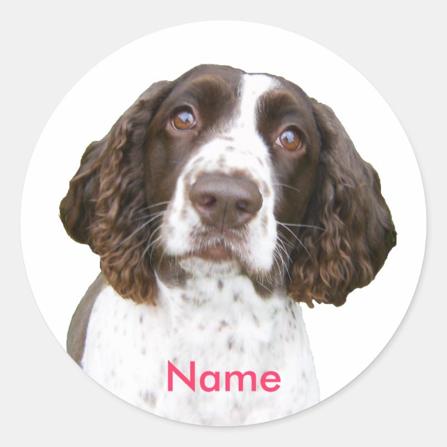 Adesivo Nome personalizado - Inglês Springer Spaniel Stick (Frente)