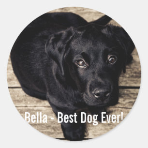 Adesivo Nome preto personalizado da foto do cão do
