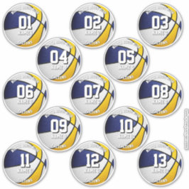 Adesivo nomes personalizados de 13 jogadores de basketball