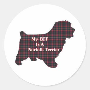 Adesivo Norfolk Terrier BFF