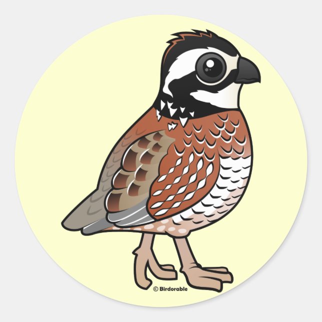Adesivo Norte Bobwhite (Frente)