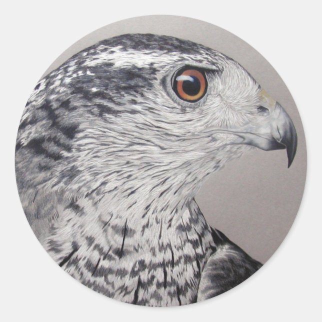 Adesivo Norte Goshawk (Frente)