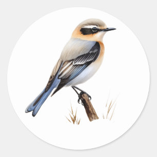 Adesivo Norte Wheatear Stickers
