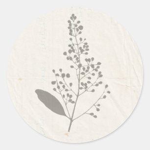 Adesivo NÓS Aperfeiçoamos Flores Shabby Garden Chic Progra