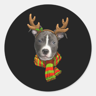 Adesivo Nose Azul Arena de Natal Pitbull Pet Cão-de-Prata