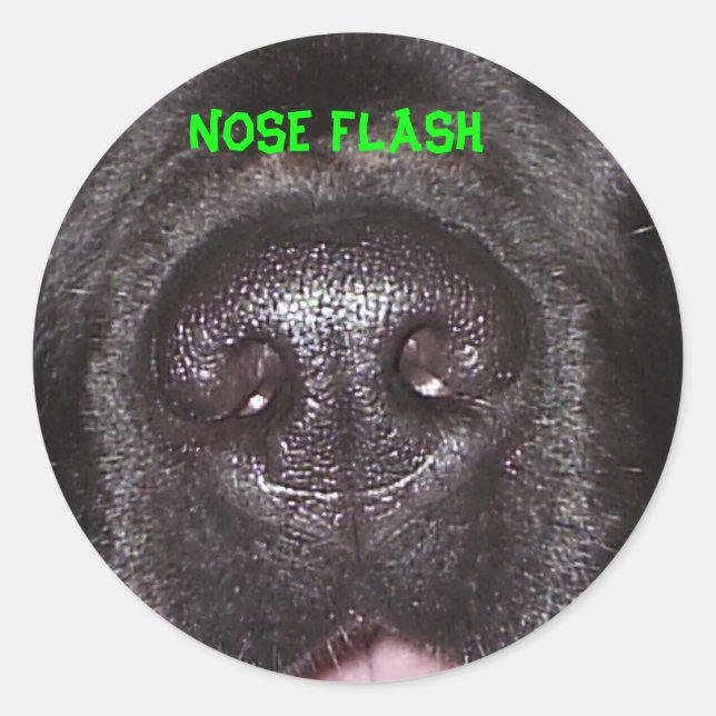 ADESIVO NOSE FLASH (Frente)