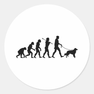 Adesivo Nova Escócia Duck Tolling Retriever