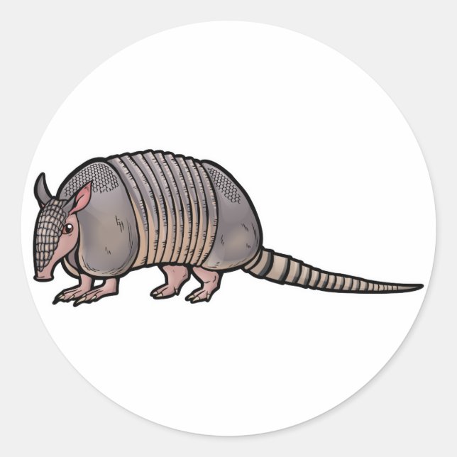 Adesivo Nove Banded Armadillo (Frente)