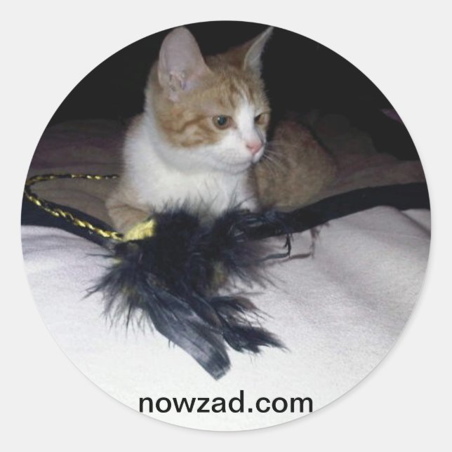 Adesivo Nowzad Pablo Sticker (Frente)