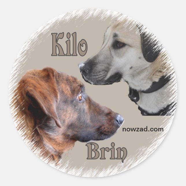 Adesivo Nowzad Rescut Dogs Brin & Kilo Sticker (Frente)