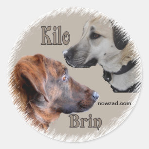 Adesivo Nowzad Rescut Dogs Brin & Kilo Sticker