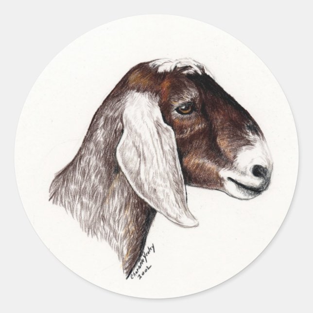 Adesivo Nubian Goat Art Sticker (Frente)