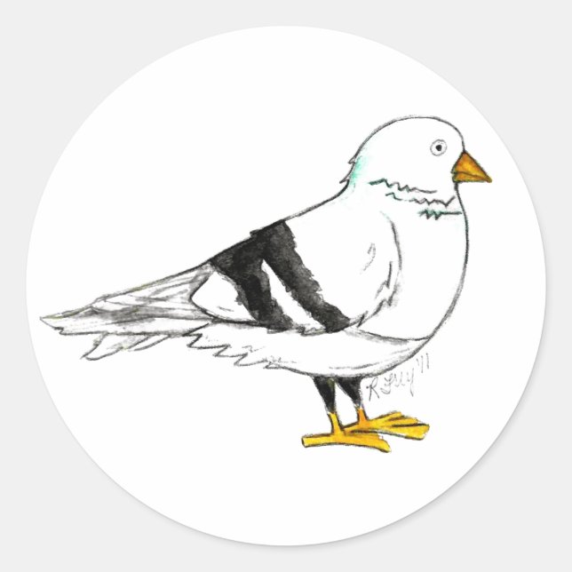 Adesivo NYC Pigeons Pigeon New York Suja Bird Stickers (Frente)