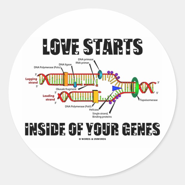 Adesivo O Amor Começa A Dentro Dos Seus Genes (Replicação  (Frente)