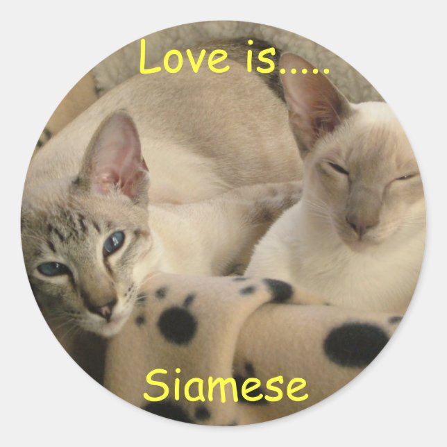 Adesivo O amor é....., Siamese (Frente)