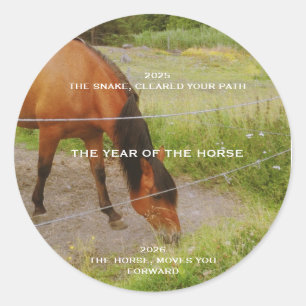 Adesivo O ano do Cavalo, 2026