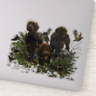 Adesivo O Autoponteiro