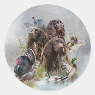 Adesivo O Boykin Spaniel