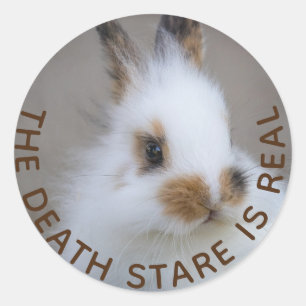Adesivo O BUNNY Death Stare é Real! Adicionar Foto Própria