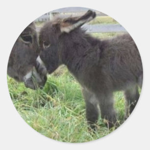 Adesivo o burro o mais bonito