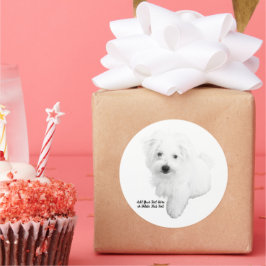 Adesivo O Cachorro Maltês Mais Pobre De Sempre