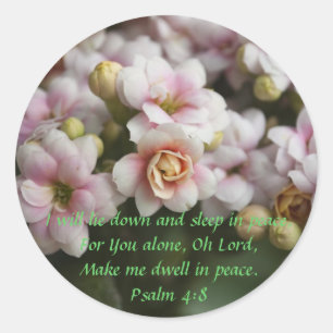 Adesivo O cacto aumentou