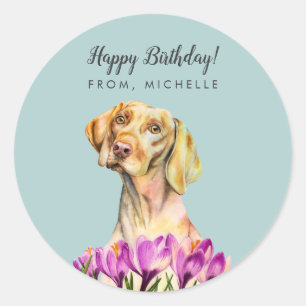 Adesivo O cão de Vizsla floresce o feliz aniversario de  