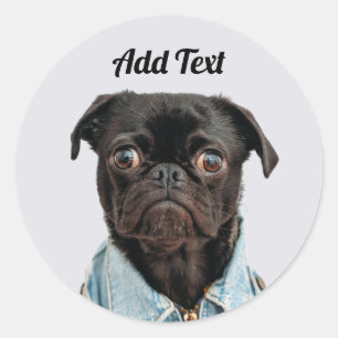 Adesivo O cão preto do Pug adiciona o texto