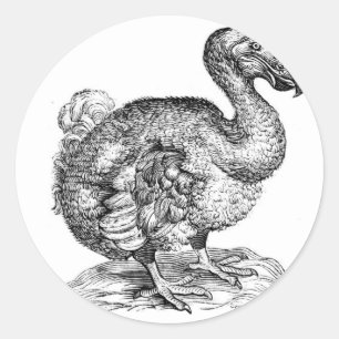 Adesivo O Dodo