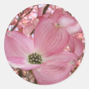 Adesivo O DOGWOOD FLORESCE canecas dos presentes da arte