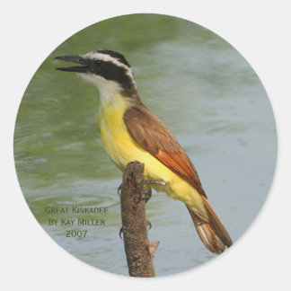Adesivo O Excelente Kiskadee