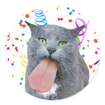 O Gato Da Festa Recebeu Sua Língua?