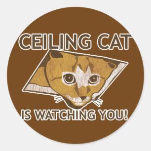 Adesivo O gato de Celing está olhando-o!
